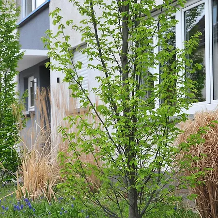 Appartamento Noviomagus Neumagen-Dhron