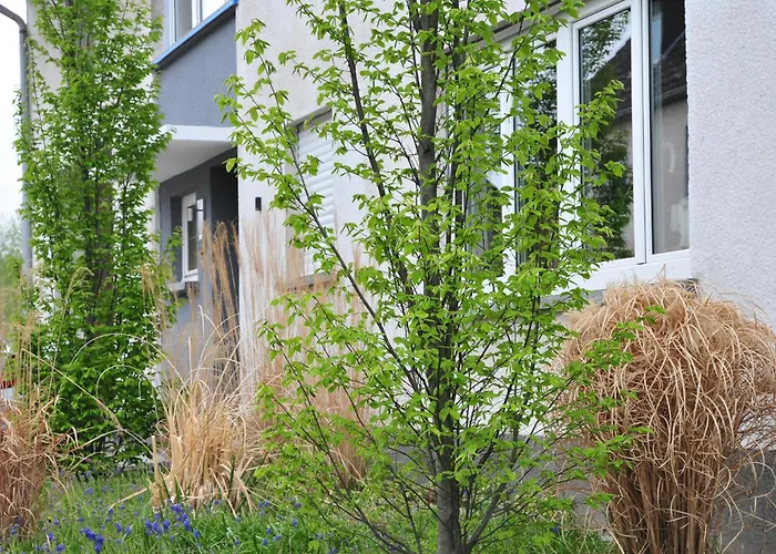 Appartamento Noviomagus Neumagen-Dhron